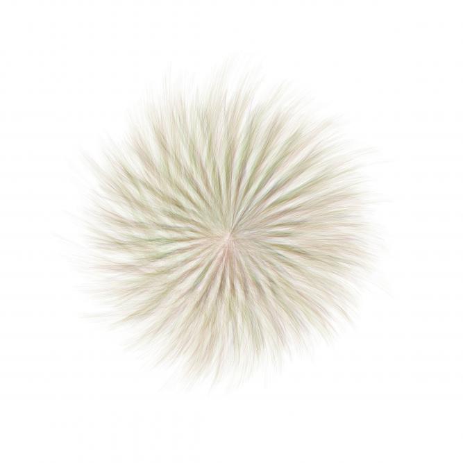 Image_5