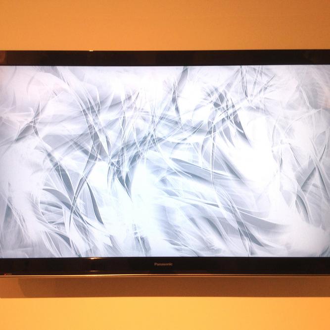 Image_8