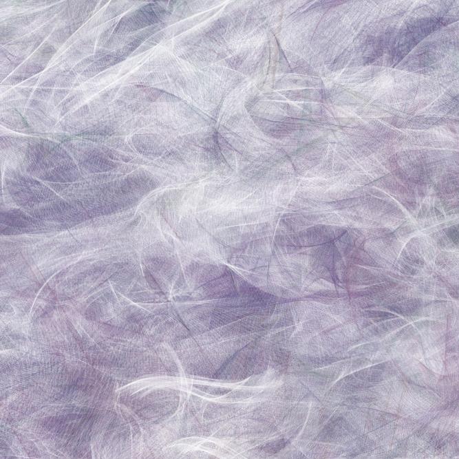 Image_7
