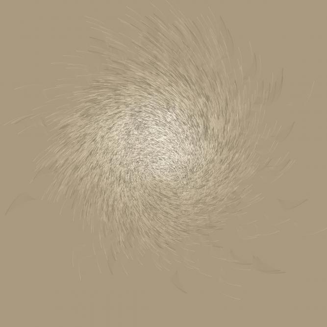 Image_5