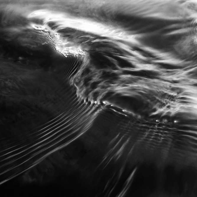Image_1