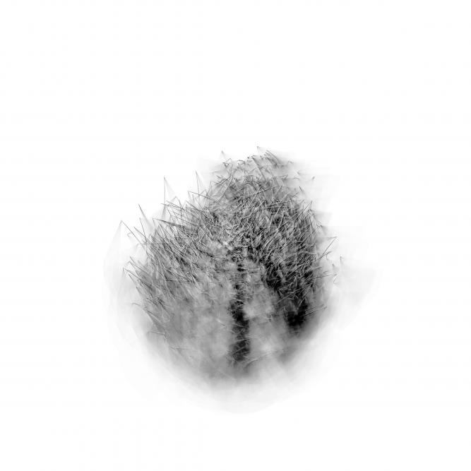Image_0