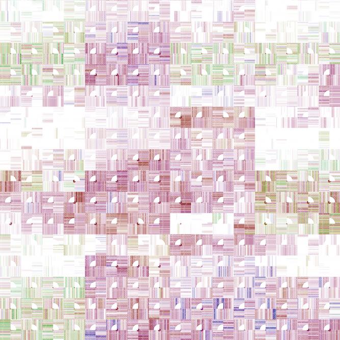 Image_1
