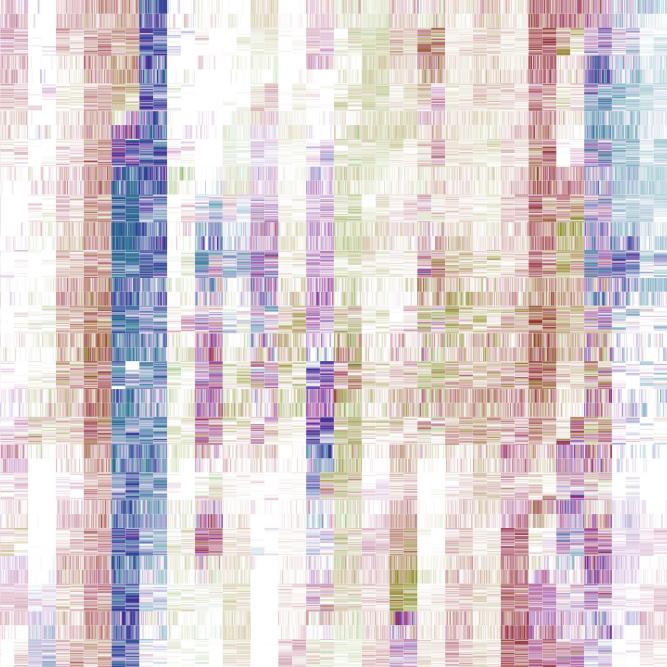 Image_0