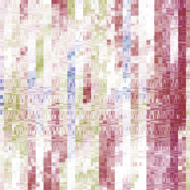 Image_1
