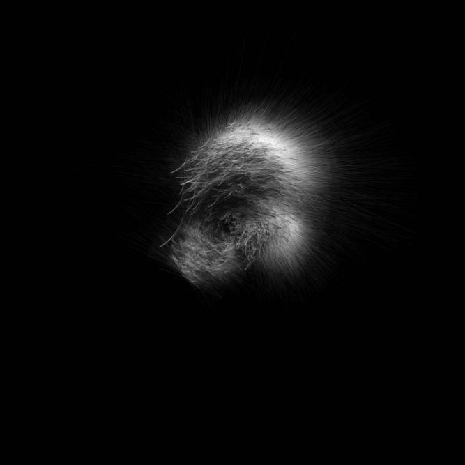 Image_6