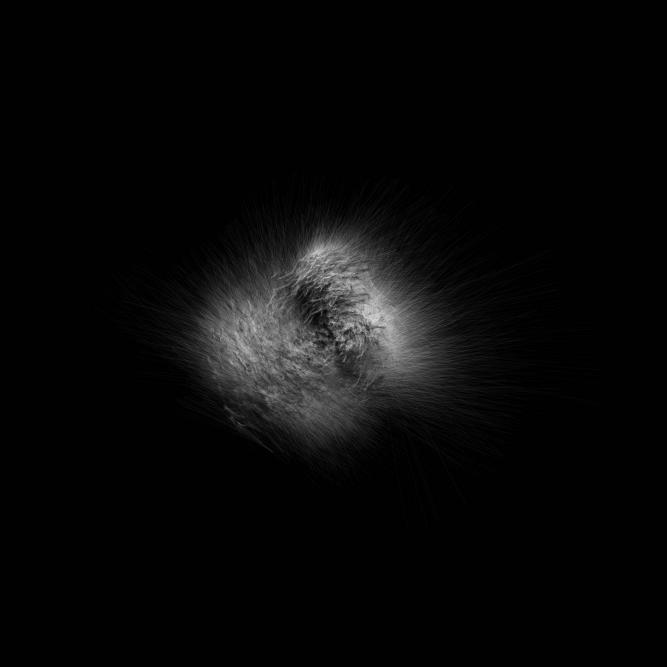 Image_7
