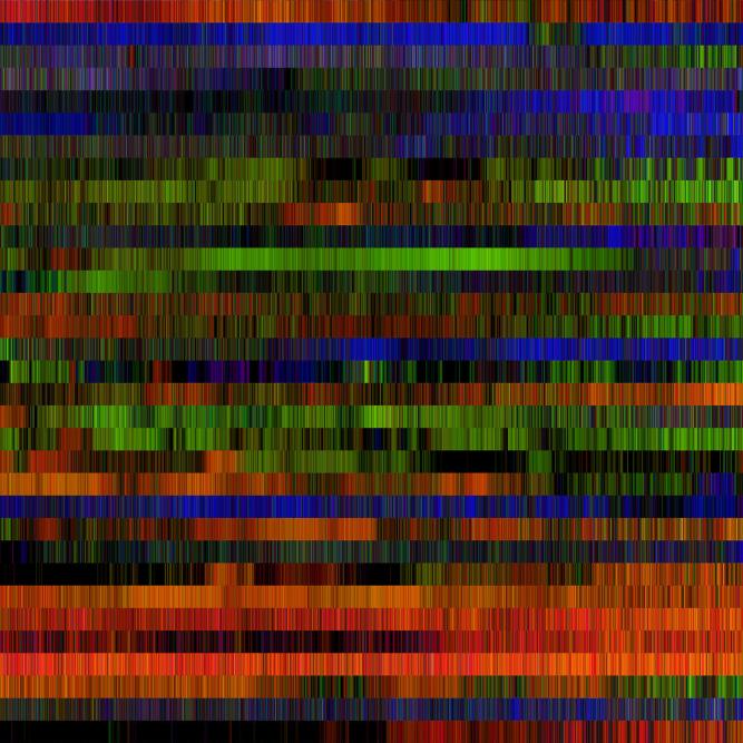 Image_6